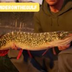 Fishing Thunderonthegulf: Guide To An Exciting Adventure – World Journey Magazine