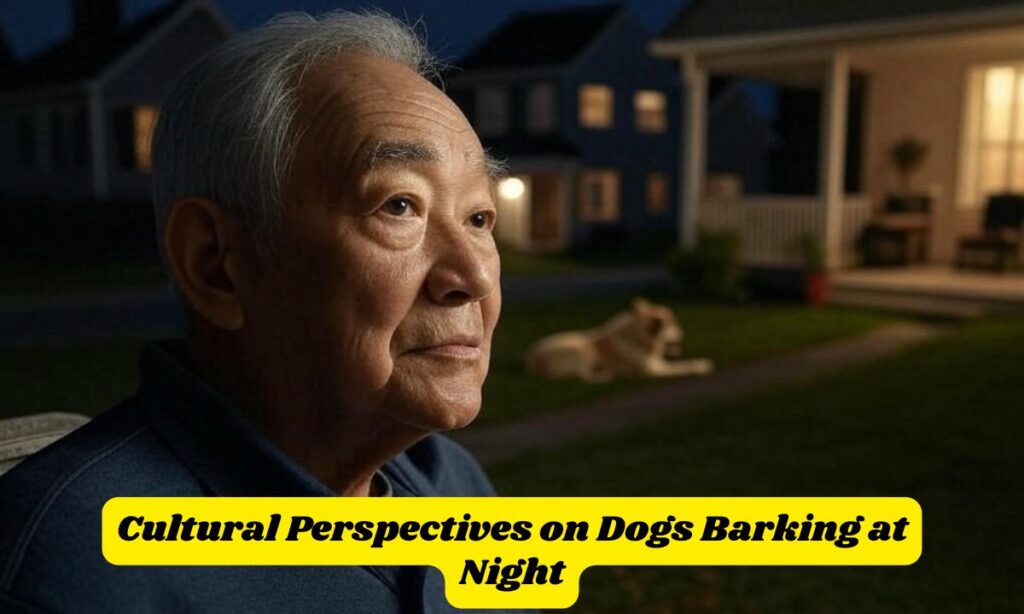 Cultural Perspectives on Dogs Barking at Night