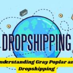 Understanding Gray Poplar and Dropshipping: A Profitable Partnership