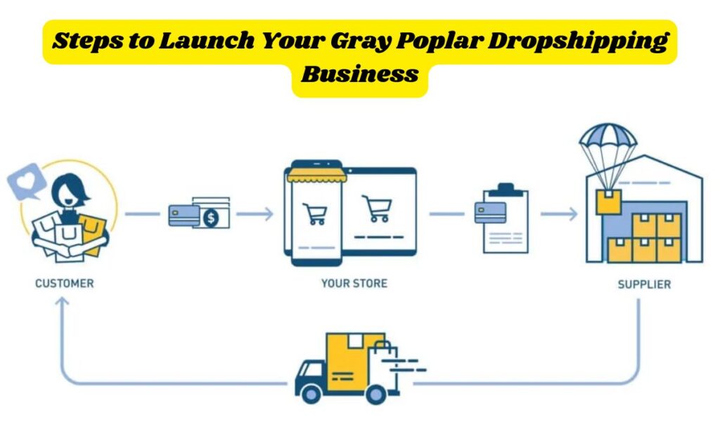Steps to Launch Your Gray Poplar Dropshipping Business