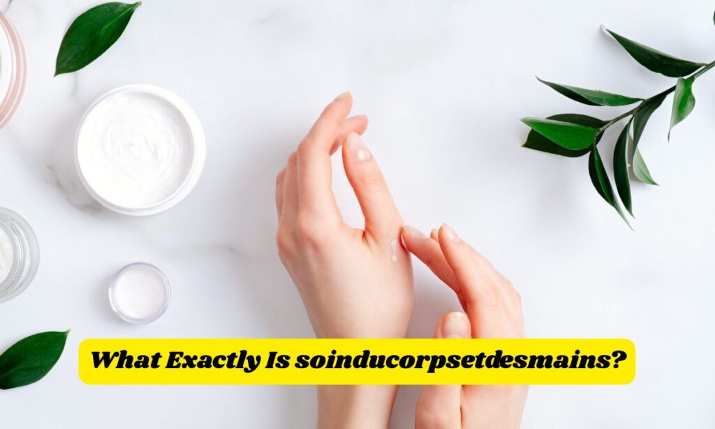 What Exactly Is soinducorpsetdesmains?