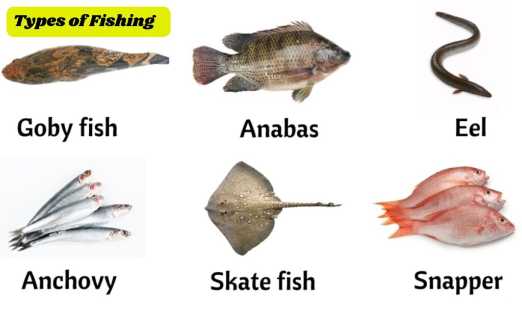 Types of Fishing Offered by ThunderOnTheGulf Guides